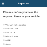 Vehicle Inspection